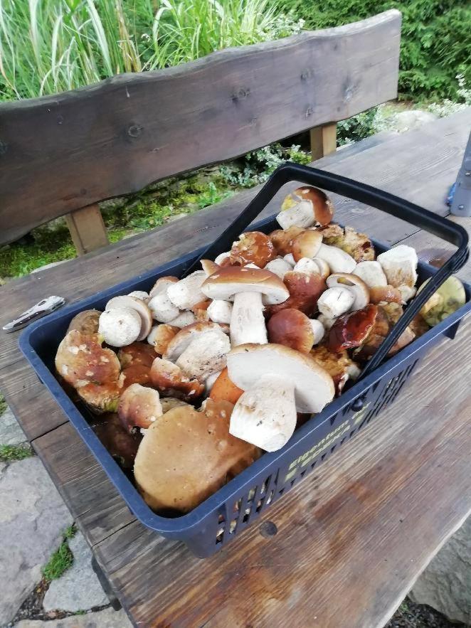 Chata Venda Lipno nad Vltavou Eksteriør bilde